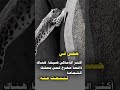 حتى في أكثر الأماكن ضيقا هناك دائما مخرج لمن يملك الشجاعة ليبحث عنه Trending Viral Like Shorts 