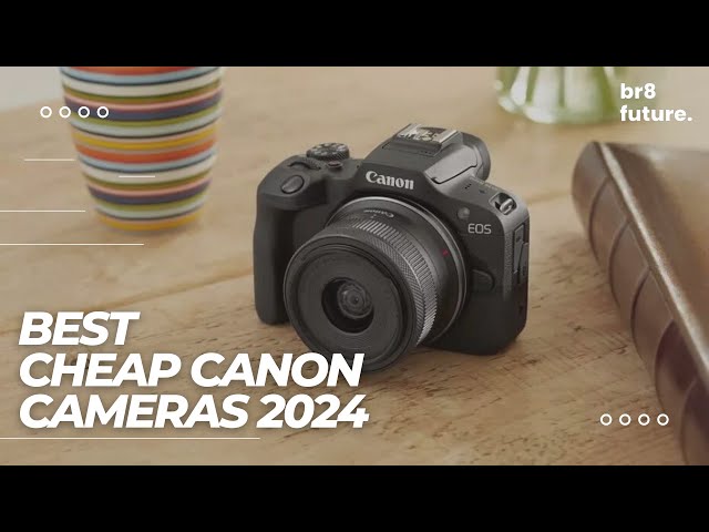 Best cheap cameras in 2024