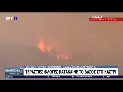 Η ΦΩΤΙΑ ΚΑΤΑΚΑΙΕΙ ΔΑΣΟΣ ΣΤΟ ΧΩΡΙΟ ΚΑΣΤΡΙ ΣΤΗΝ ΕΥΒΟΙΑ