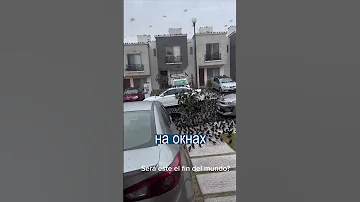 Птицы захватили мексиканский город