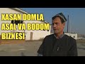 XASAN DOMLA ASAL VA BODOM BIZNESI YO'LGA QO'YDI