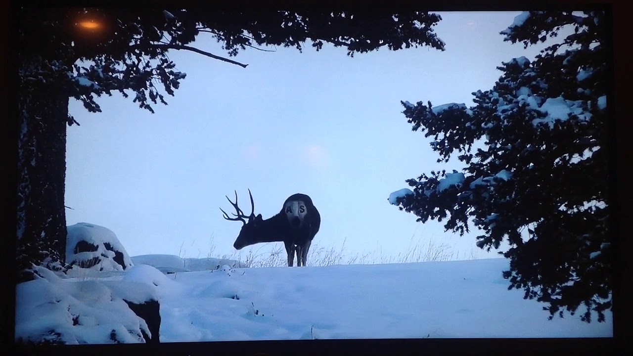 Adult Swim Winter 201718 Bumps YouTube