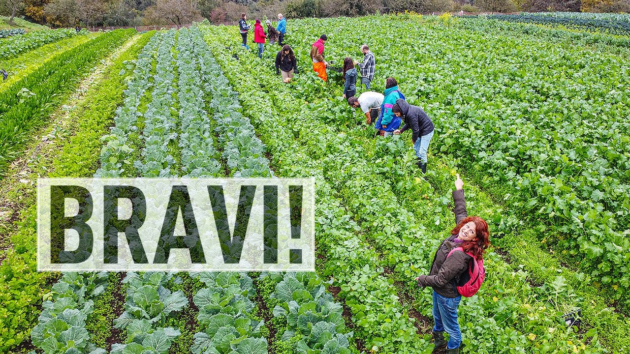 AGRICOLTURA di comunità. Coltivare insieme con la CSA