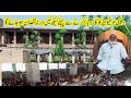 Biggest Mistakes in Golden misri Farming | Free Range hen farming in Pakistan
