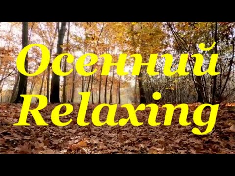 Осенний Релакс Прогулка в Осенний Лес Музыка Сергея Чекалина