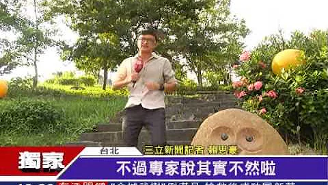 「看遠」戶外多活動 眼球放鬆降近視｜三立新聞台 - 天天要聞