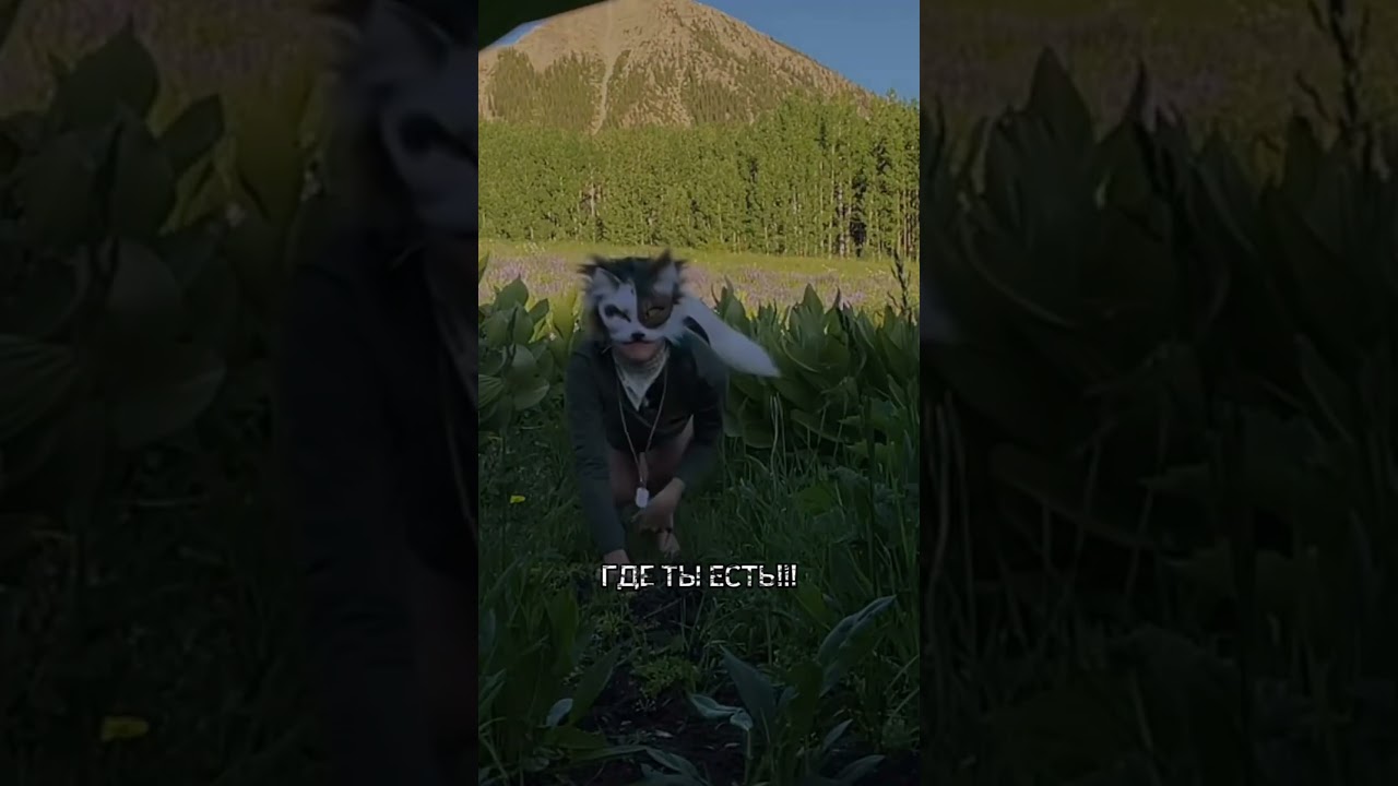 preview_player