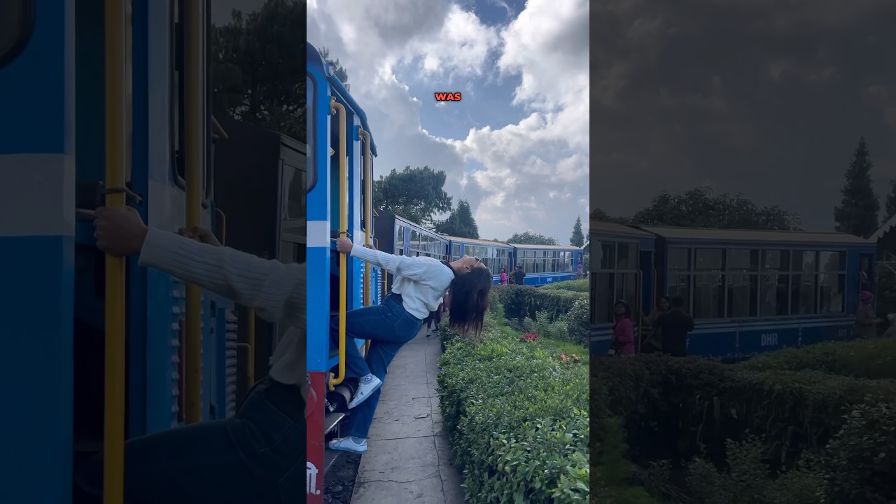 Darjeeling Toy Train Details 🚂💨 #tasteofsiliguri #darjeeling #toytrain