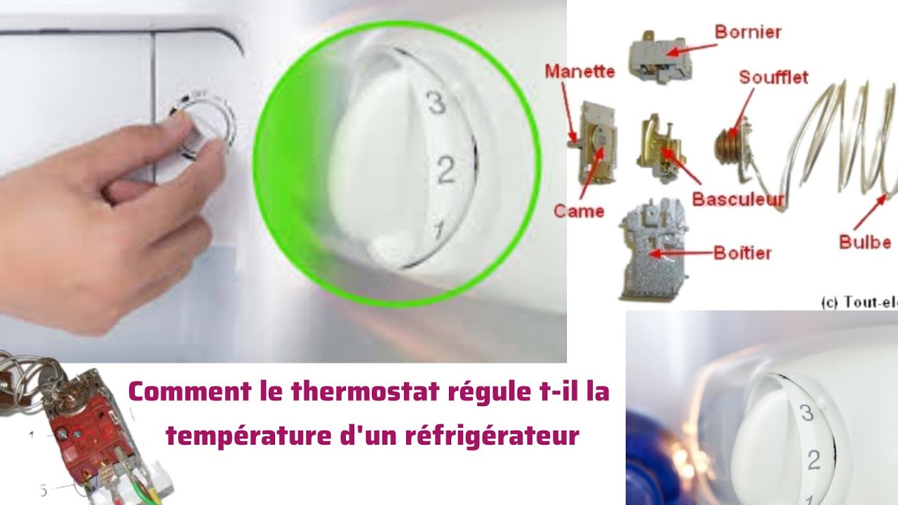 Comment le thermostat régule til la température d'un réfrigérateur — free download