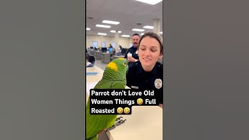Parrot Ends Her Love Life in 3 Seconds 💀😂 #parrot #birds #viral #shorts