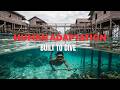 Bajau Sea Nomads Documentary | Living and Diving Without Oxygen