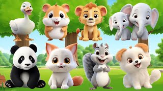 Wild Life Animals - Bear Panda, Turtle, Giraffe, Lumber, Dogs, Squirrel, Elephant, Cow, Monkey