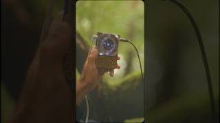 Connect with Nature: Pocket Scion by Instruō & Modern Biology 🌱 🍄 @instruo