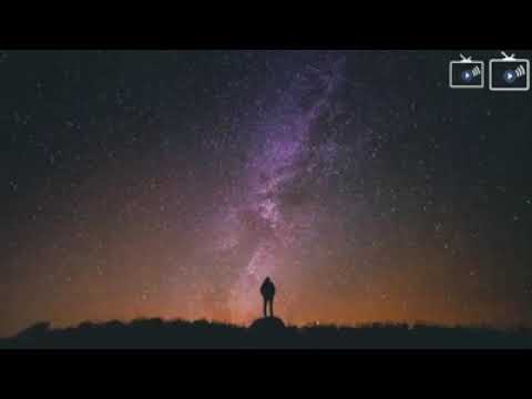 تامر عاشور راجع ليه من تاني