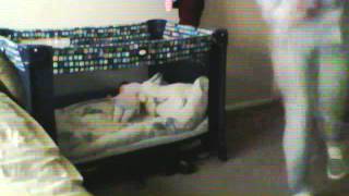 Capture 20120323 2