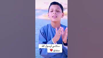 سلامي لرسول الله سندي إبداعات المنشد محمد راضي الجمال ترند المولد النبوي 