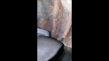 Installing the ICT Billet LS1 to GM clam shell motor mount adapters