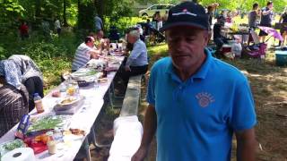 Piknik 2016 Ana Malit