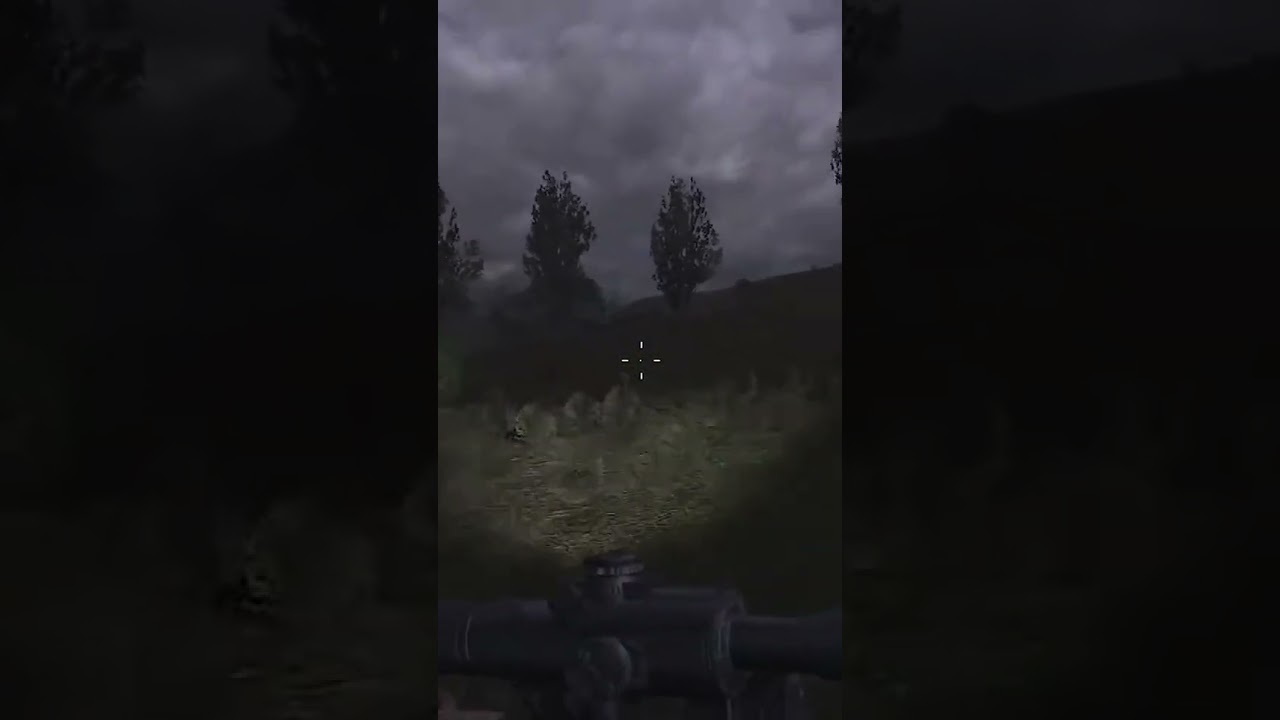 ✅ Встреча с самым быстрым мутантов в Сталкер (Stalker FM)