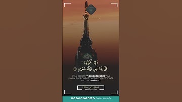 تلاوة خاشعة ما تيسر من سورة الذاريات بصوت القارئ: أسامة عبد الإله #قناة_عدن_للقرآن_الكريم