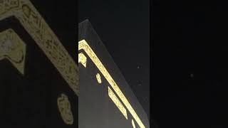 haram baitullah birds