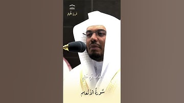 تلاوة لايوصف من غريد الحرم #ياسر_الدوسري #الحرم_المكي #قران #قران_كريم #تلاوة_خاشعة #تلاوات