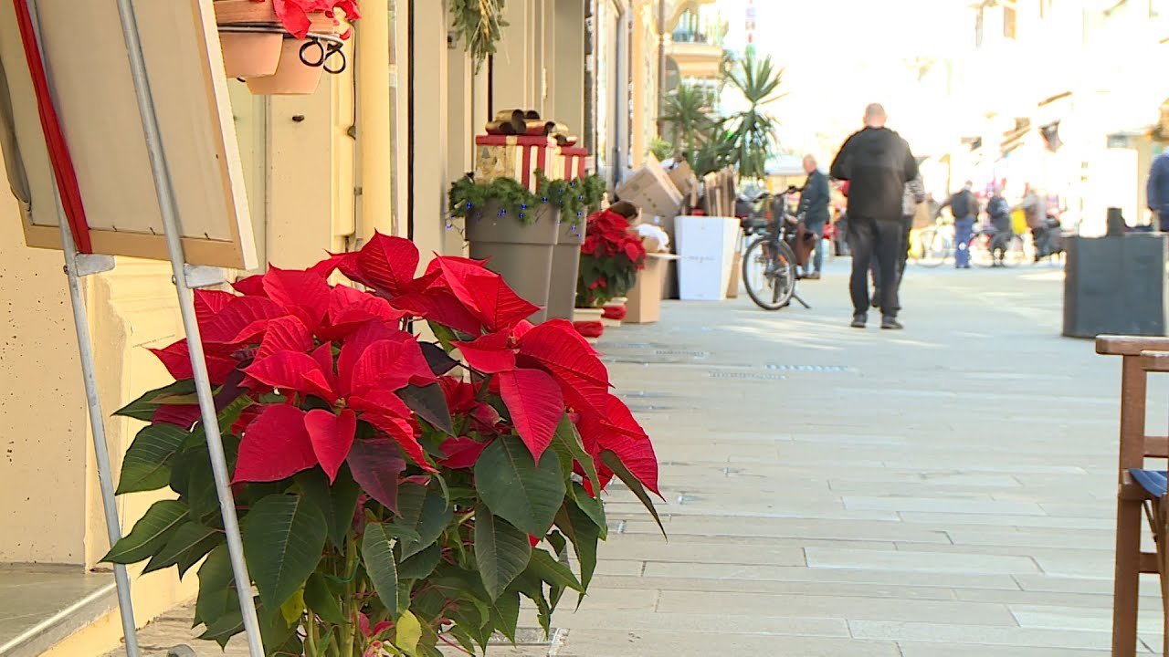 Commercianti del centro e della Passeggiata uniti per gli eventi di Natale