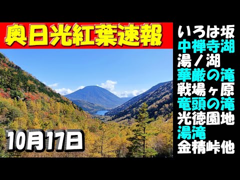 10月17日色づき速報【奥日光紅葉2025】「いろは坂」から明智平・中禅寺湖・華厳の滝・イタリア大使館別荘記念公園・竜頭の滝・戦場ヶ原・光徳園地・湯滝・湯ノ湖・奥日光湯元温泉「金精峠」菅沼、丸沼まで