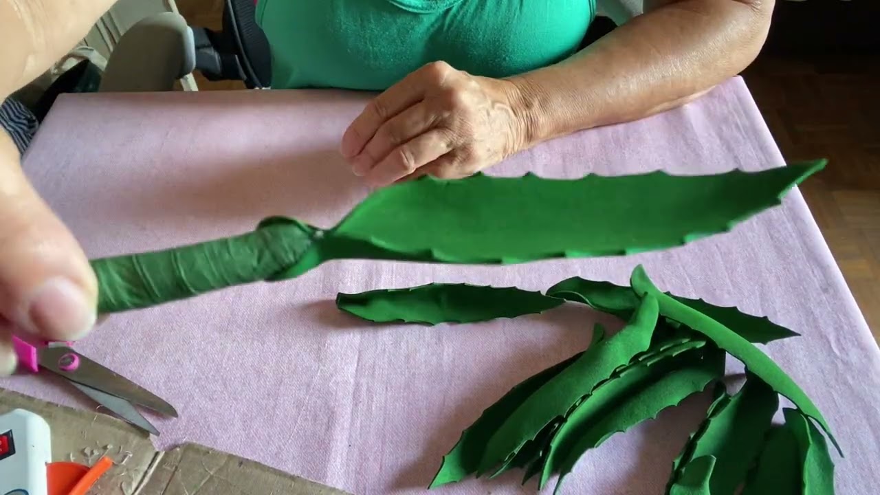 SUCULENTA NO VASO DE  COCO.