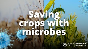 Crop-saving tech you need to know: Adaptive Symbiotic Technologies