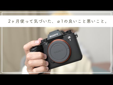 ✨初心者におすすめ✨ SONY α350✨シングルレンズ✨バッテリー2個付き✨ Amazon | SONY デジタル一眼レフ α350 レンズキット DT 18-70mm