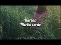 Karina Hierba Verde (Letra/Lyrics)