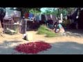 Making of Chilli Powder in the village of Guntur, Andhra Pradesh