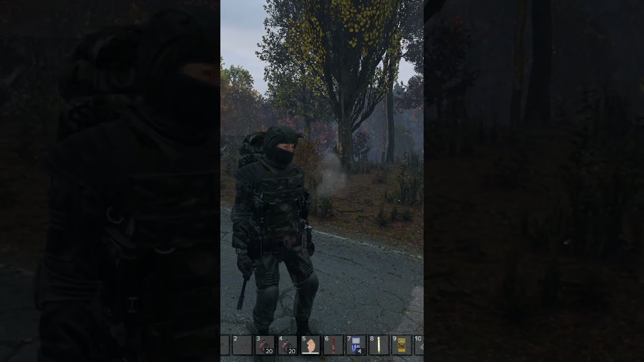 DAYZ NOOSFERA STALKER RP ЗАЛОЖИЛИ ЖМЫХА 