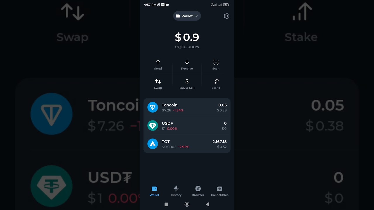 DOGS Community Airdrop Connect Your Ton Wallet