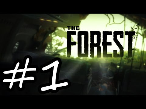 The Forest #1 - YENİ MACERA | Türkçe