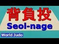 柔道 背負投 JUDO Seoi-nage 2018