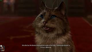 Baldur's Gate 3 - Kira The Cat