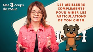 3 Suppléments Pour Prévenir La Dégradation Des Articulations