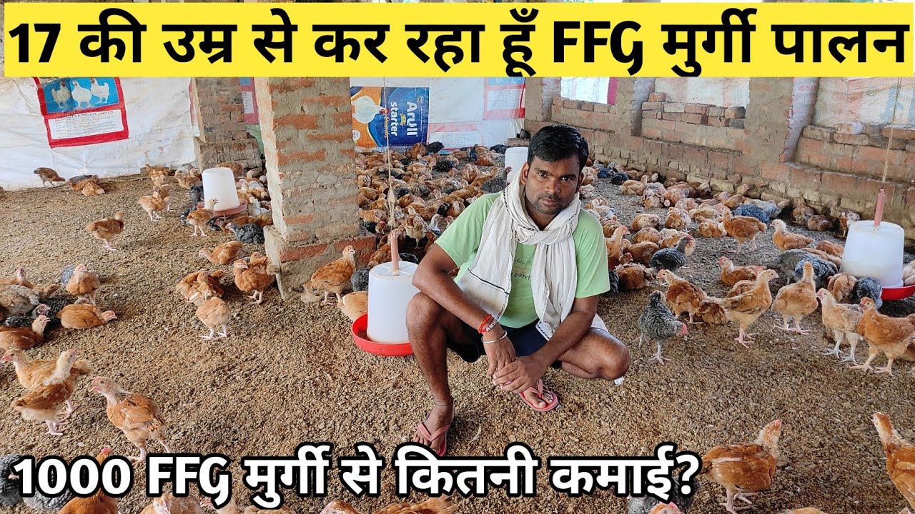 युवा किसान 17 साल की उम्र से कर रहा है FFG मुर्गी पालन ll @ChandanAgrofarm