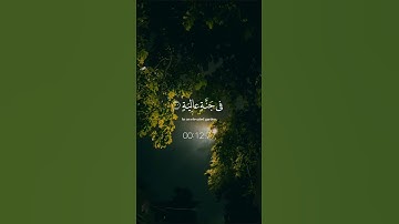 [سُورَةُ الغَاشِيَةِ: ٨-١٢]#سورة_الغاشية #عبدالرحمن_مسعد #قرآن #قرآن_كريم #quran #quran_alkarim