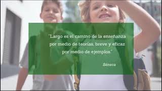 Actively Learn