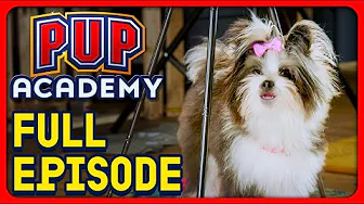 Oopsie! | Pup Academy Full Episode S1E3