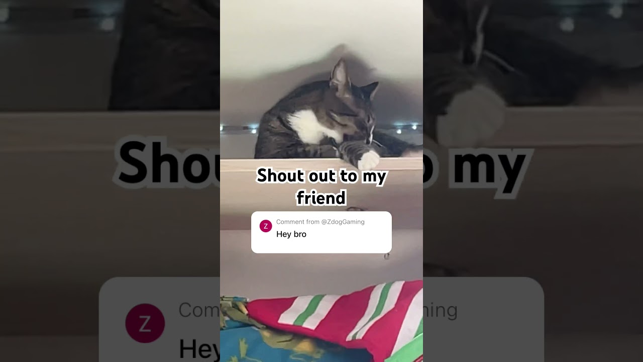 How Did he get up there?!!!