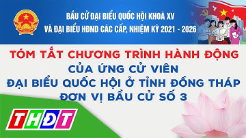 Tóm tắt chương trình hành động của Ứng cử viên Đại biểu Quốc hội khóa XV, đơn vị bầu cử số 3 | THDT