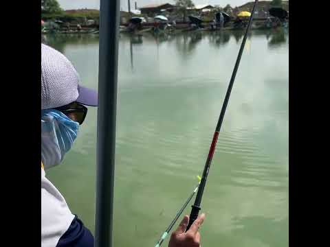 KAWO KIẾM VŨ LÝ ƯU NHÀN - SĂN HÀNG CẢM GIÁC CỰC ĐÃ | VIETNAM FISHING TV