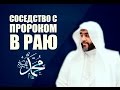 Как заслужить соседство с пророком, мир ему, в раю. Ахмад Салим