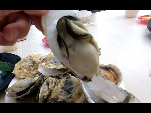 東石 海灃蚵の平價美食
