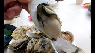 東石海灃蚵の平價美食 