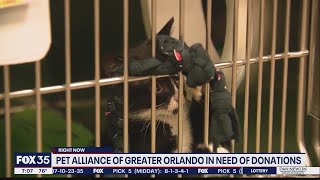 Pet Alliance of Greater Orlando in need of donations after fire